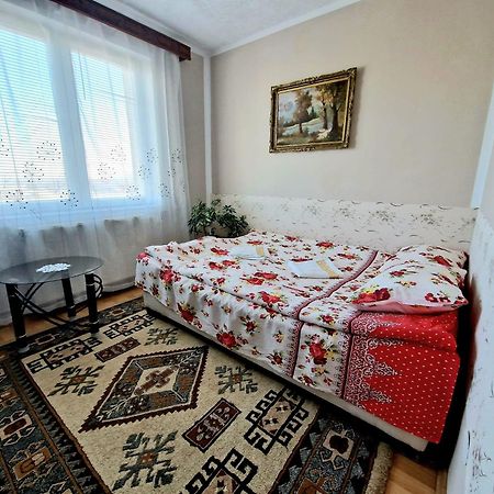 Sabina Apartment Sighisoara Exterior photo