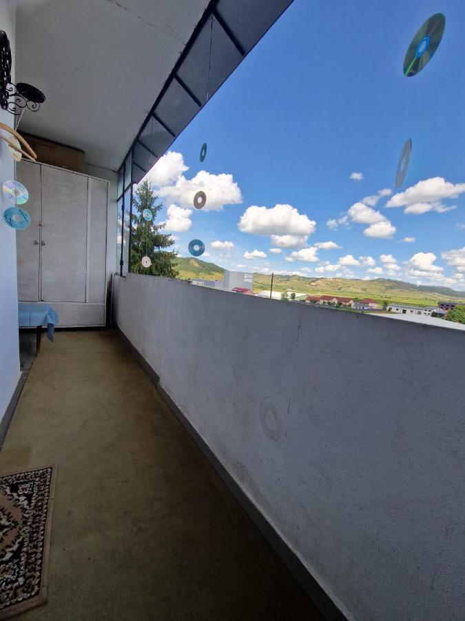 Sabina Apartment Sighisoara Exterior photo